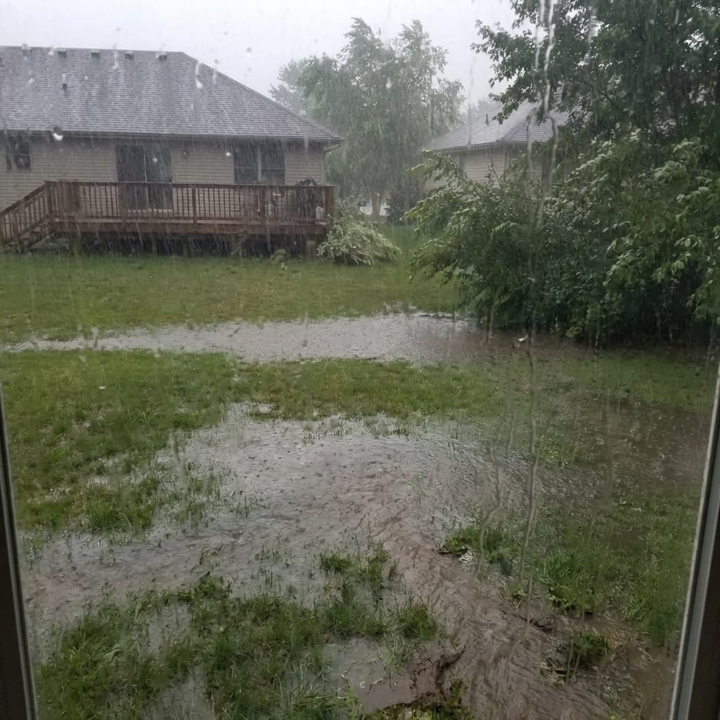 Lawn Care During Florida's Rainy Season