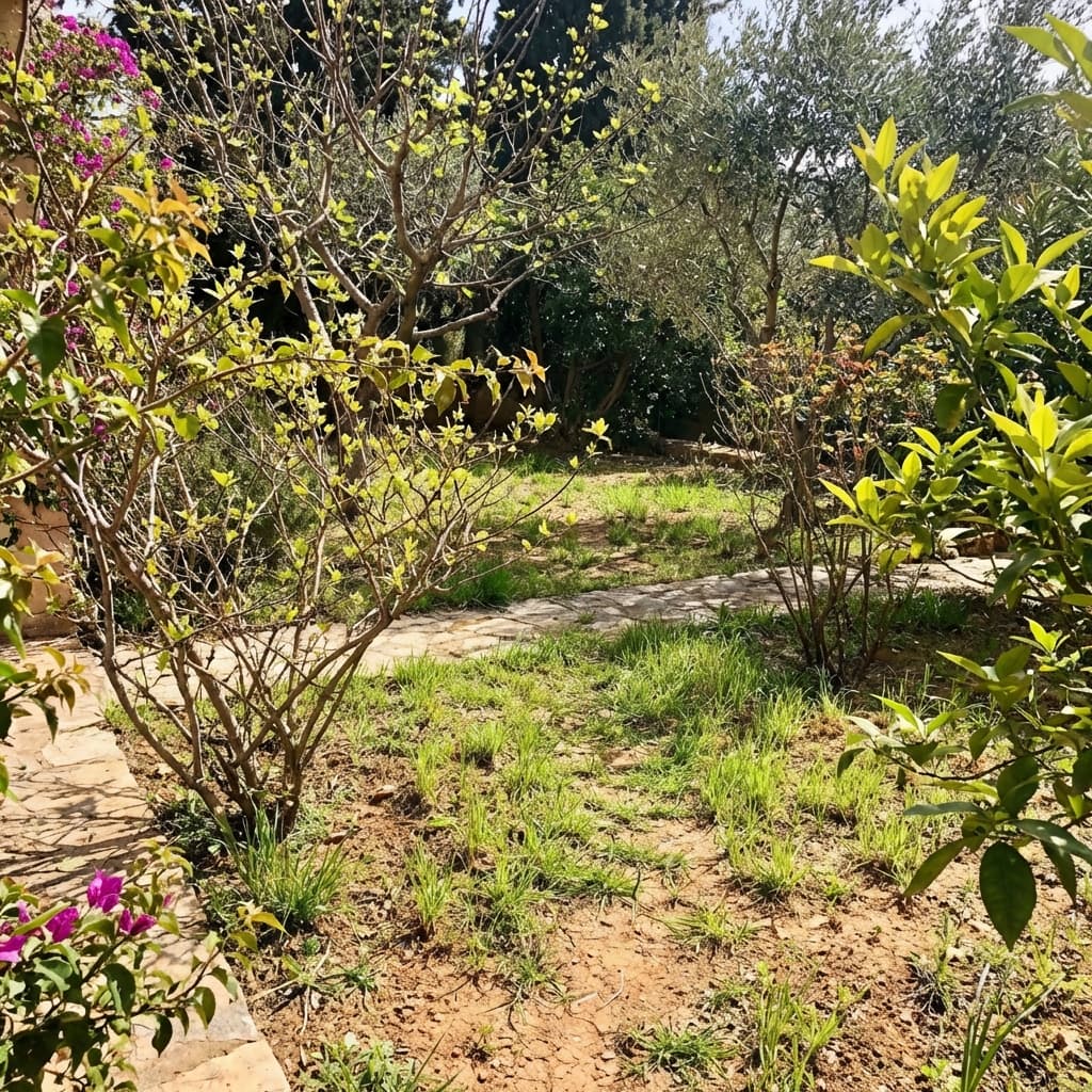 March Lawn Care Jacksonville FL: Spring Green-Up Season